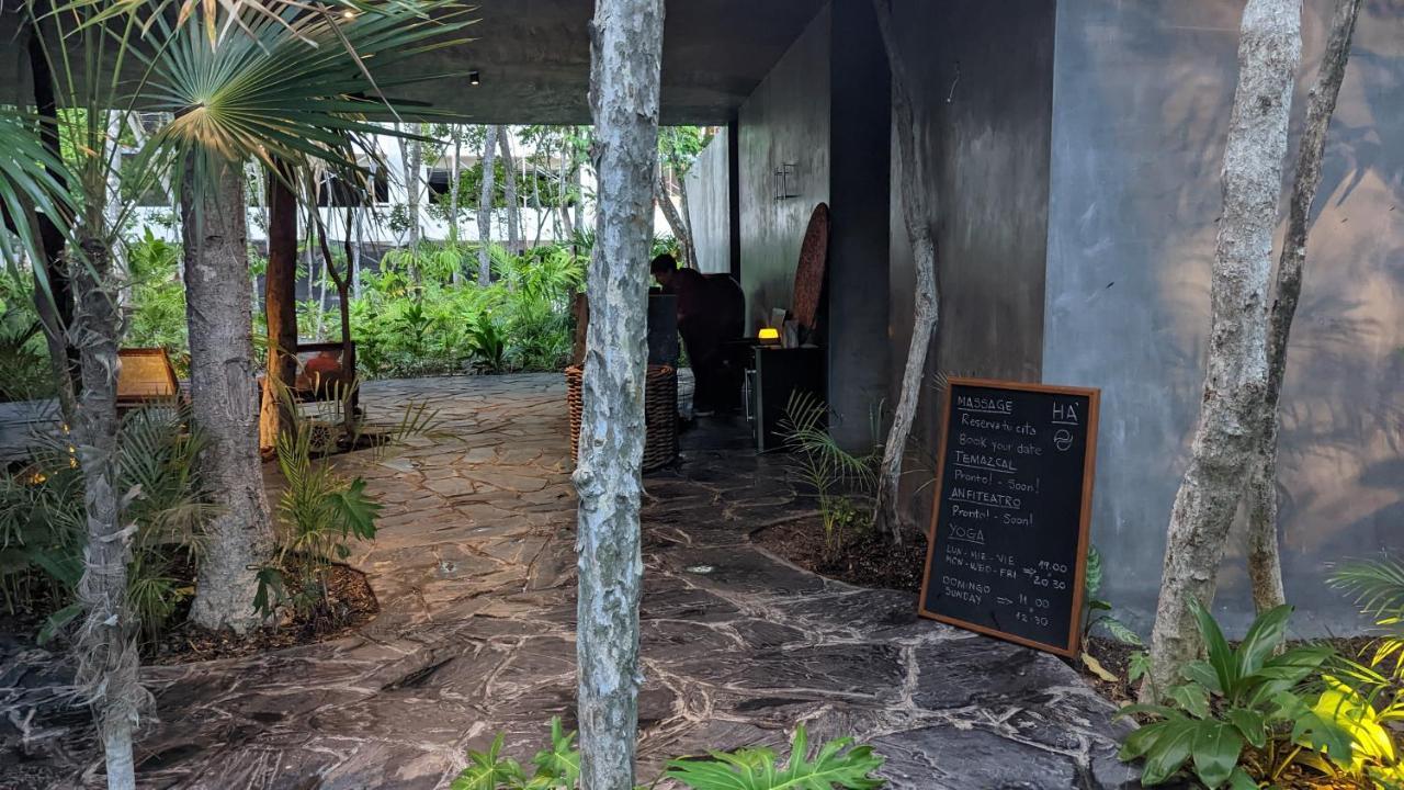 Exclusive Penthouse By Famous Interior Designer By Yeah Apartment Tulum Exterior photo