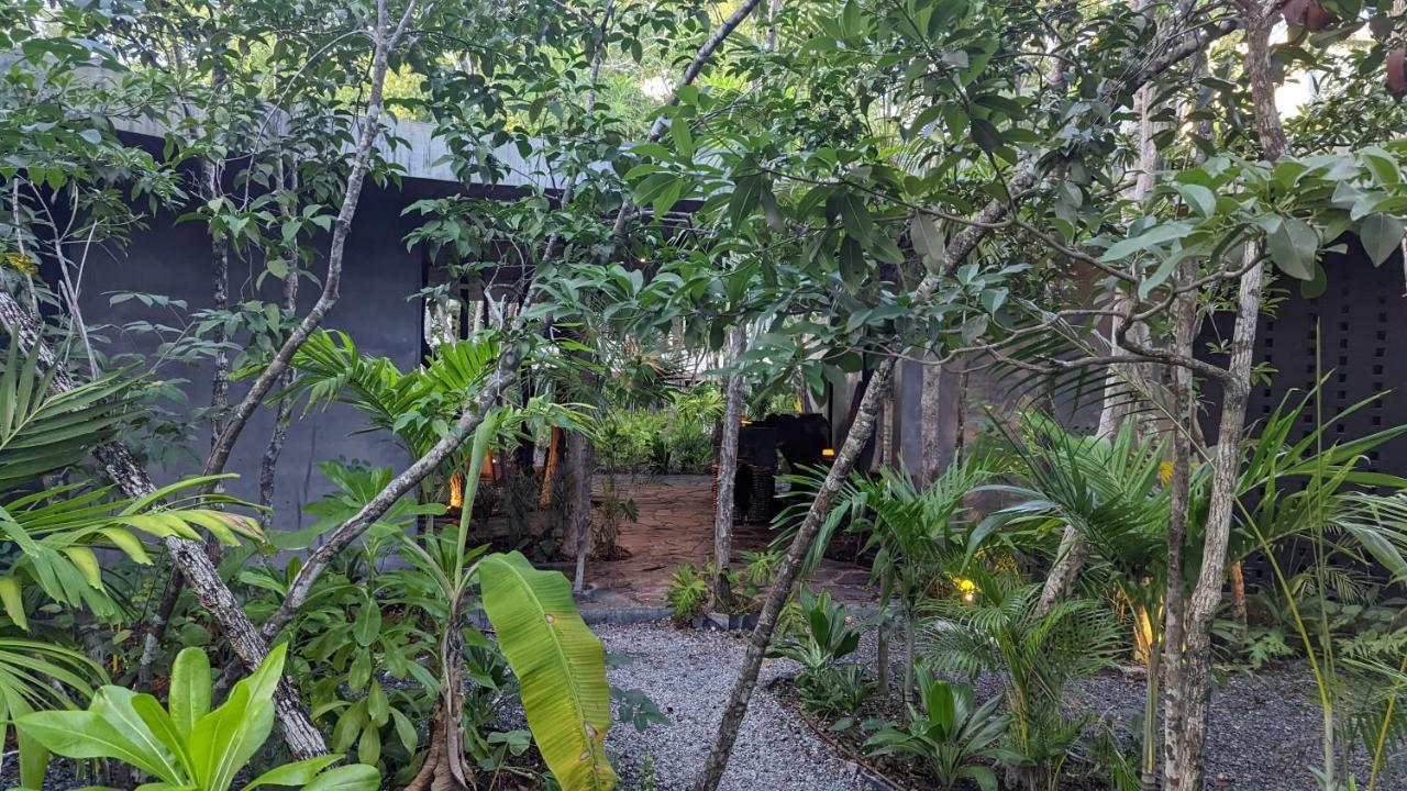 Exclusive Penthouse By Famous Interior Designer By Yeah Apartment Tulum Exterior photo
