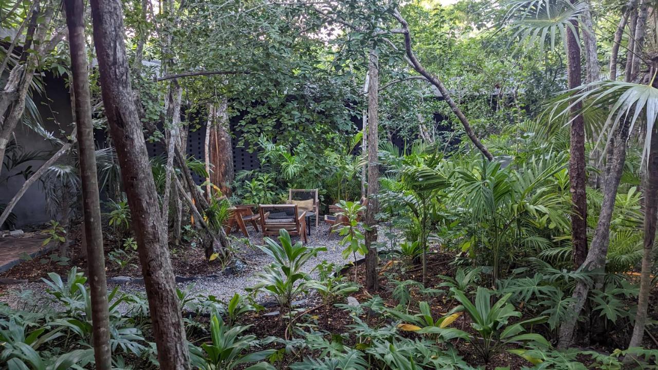 Exclusive Penthouse By Famous Interior Designer By Yeah Apartment Tulum Exterior photo