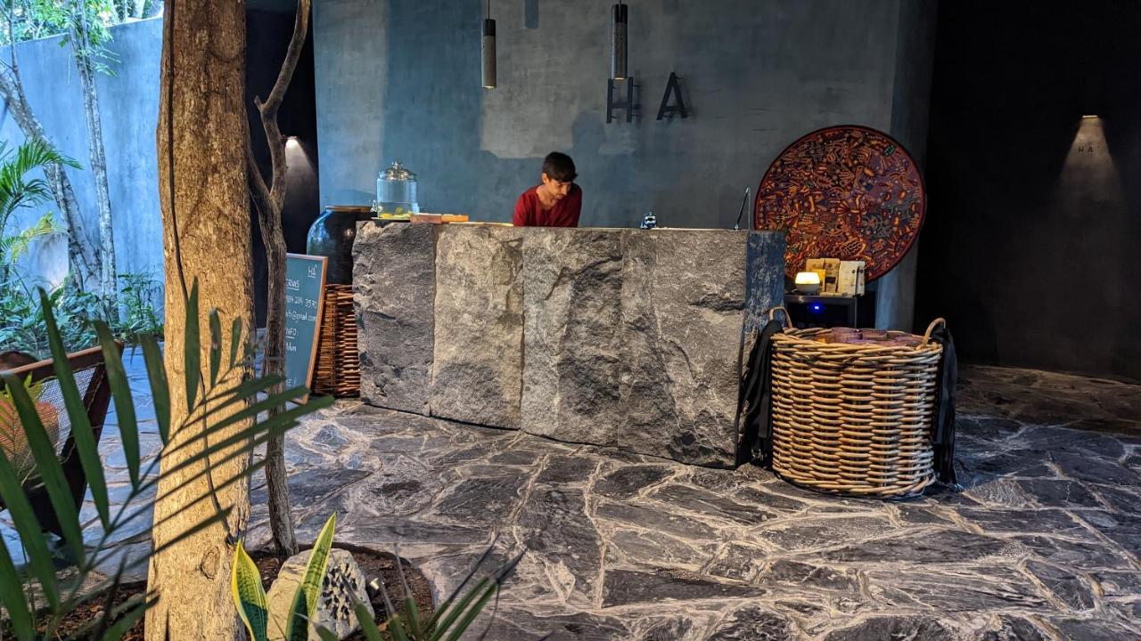 Exclusive Penthouse By Famous Interior Designer By Yeah Apartment Tulum Exterior photo